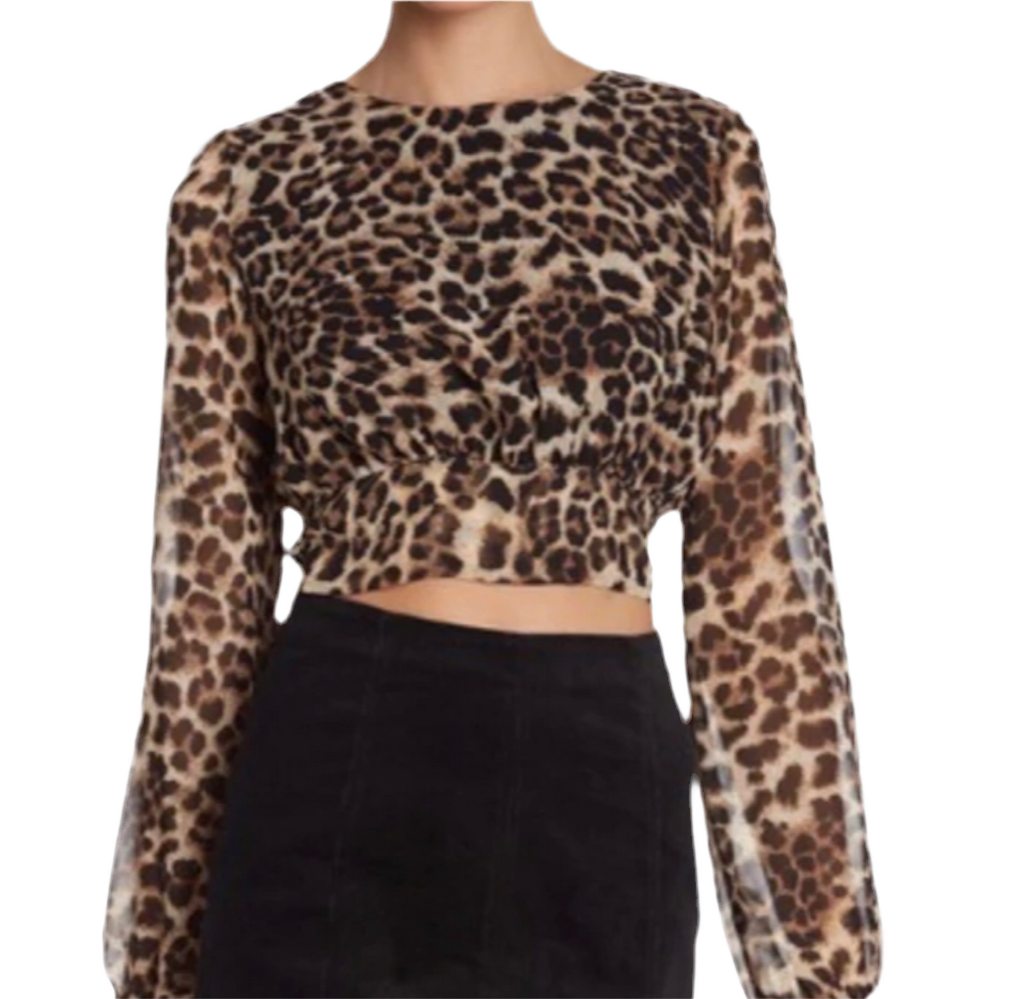 Animal Print Crop Top Open Back Blouse